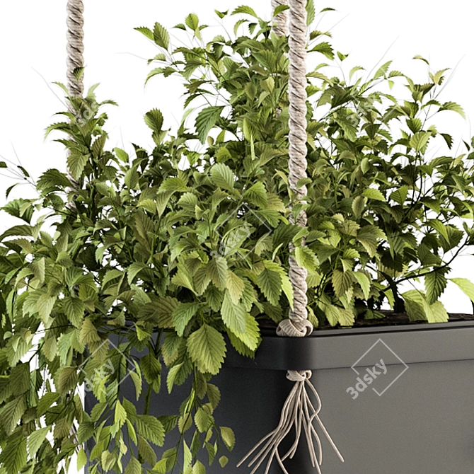  Rustic Hanging Pot with Rope - Perfect for Indoor Plants 3D model image 2