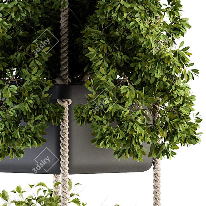  Rustic Hanging Pot with Rope - Perfect for Indoor Plants 3D model image 3