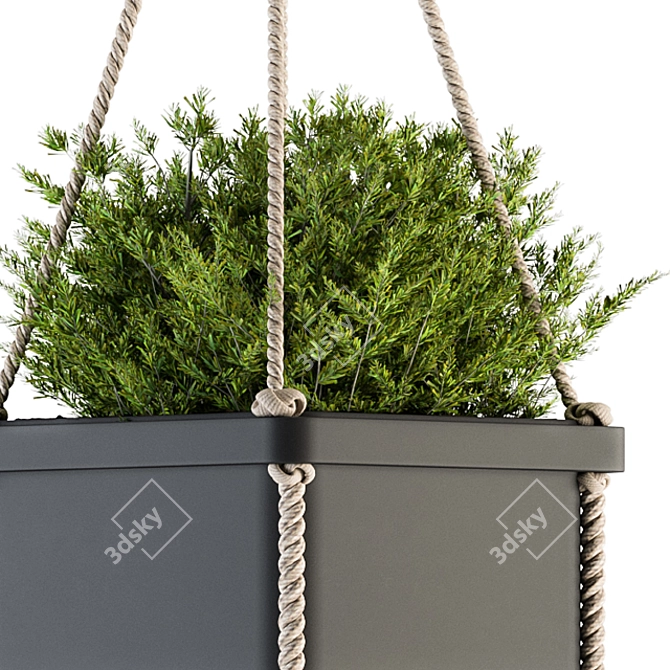  Rustic Hanging Pot with Rope - Perfect for Indoor Plants 3D model image 4