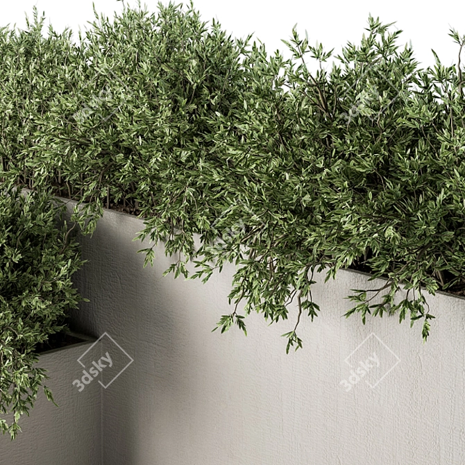 Concrete Box Outdoor Plants - Set 156 3D model image 3