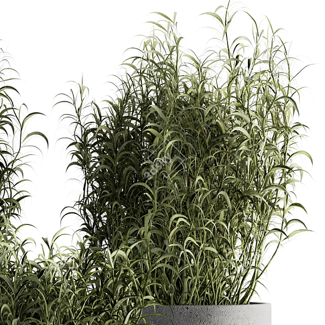 Lush miscanthus, outdoor set 3D model image 3