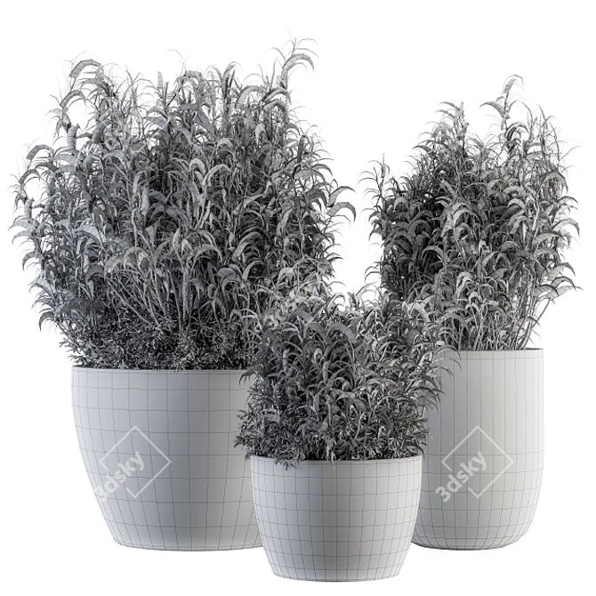 Lush miscanthus, outdoor set 3D model image 5