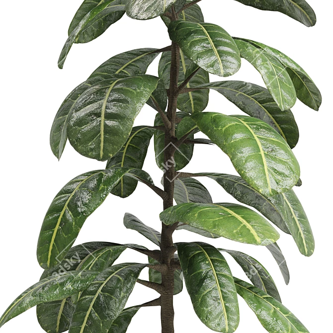 16-Inch Indoor Plant: 3D Model & Export Files 3D model image 2