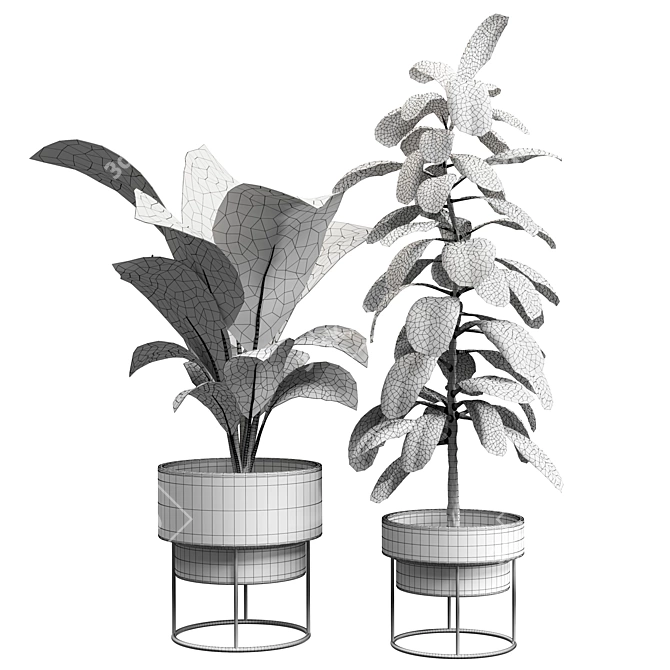 16-Inch Indoor Plant: 3D Model & Export Files 3D model image 3