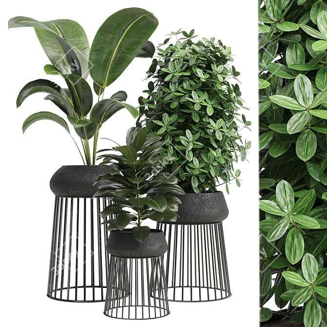 Modern Indoor Plant: 17th Edition 3D model image 1