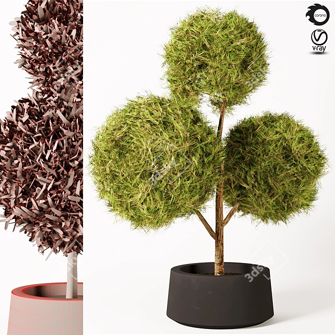 Elegant Topiary Plant: 135cm 3D model image 2