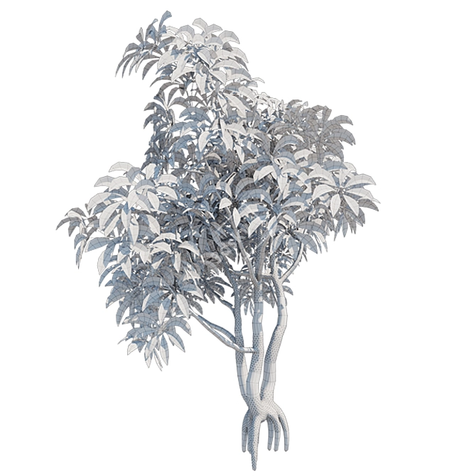 Plumeria 3D Models: High Quality, Clean Topology 3D model image 2