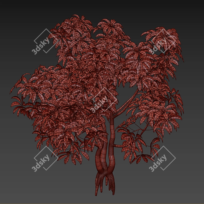 Plumeria 3D Models: High Quality, Clean Topology 3D model image 3