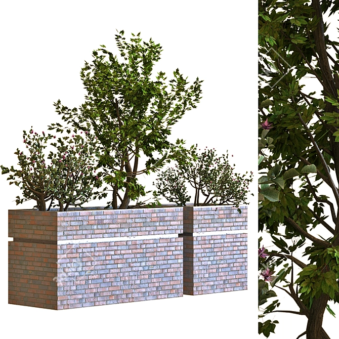 Versatile Tree Box Set 034 3D model image 2