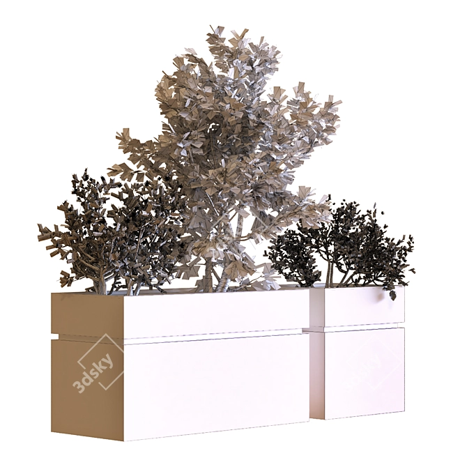 Versatile Tree Box Set 034 3D model image 4