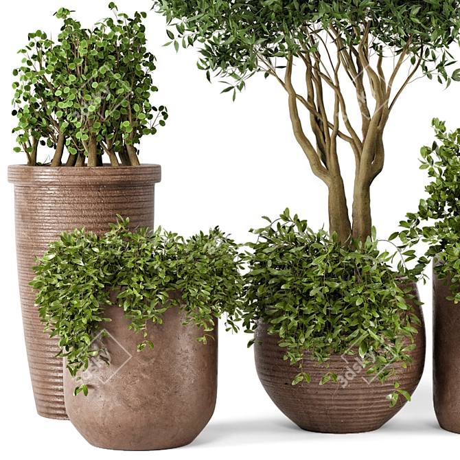 Rustic Outdoor Plants Set 3D model image 2