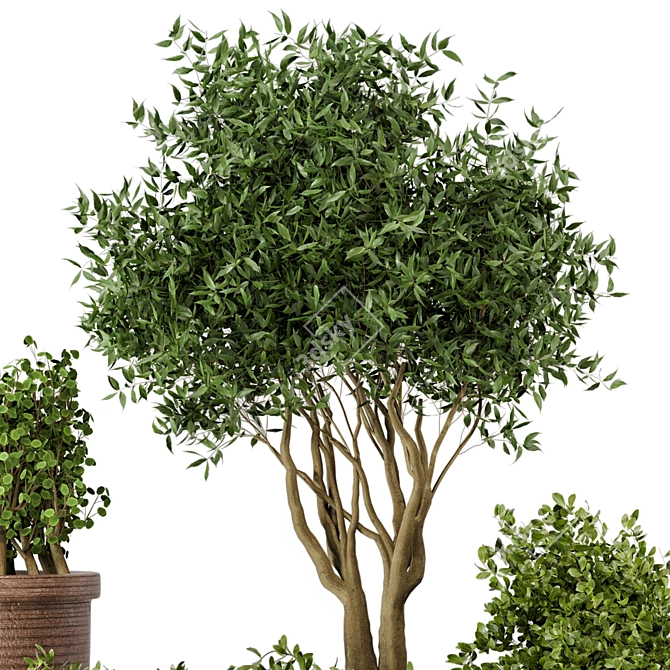 Rustic Outdoor Plants Set 3D model image 3