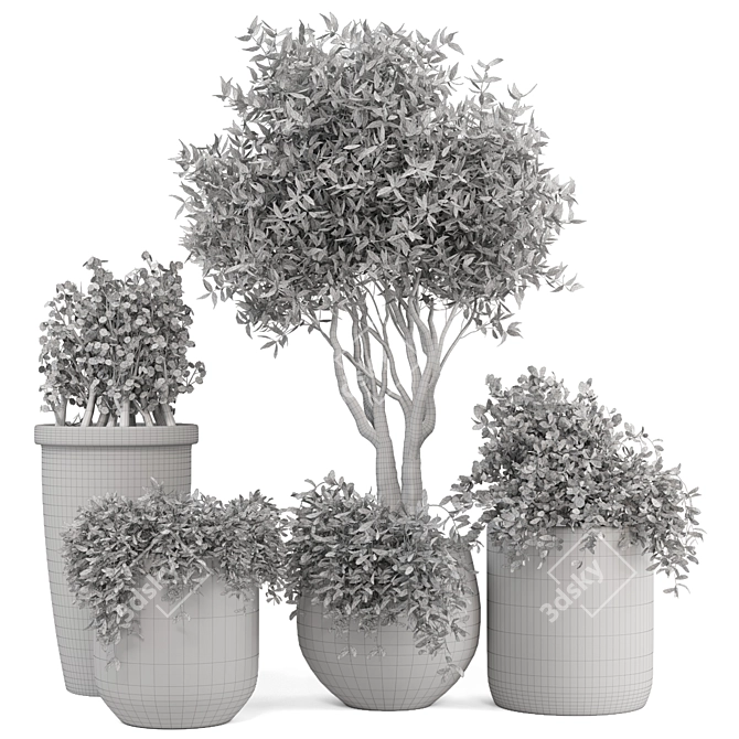 Rustic Outdoor Plants Set 3D model image 5