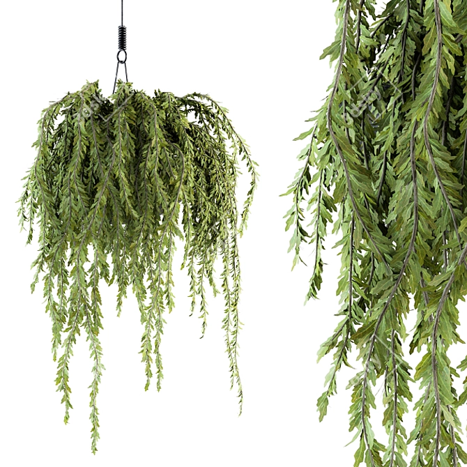 Indoor Hanging Pot Set 170 - Beautiful and Convenient 3D model image 1