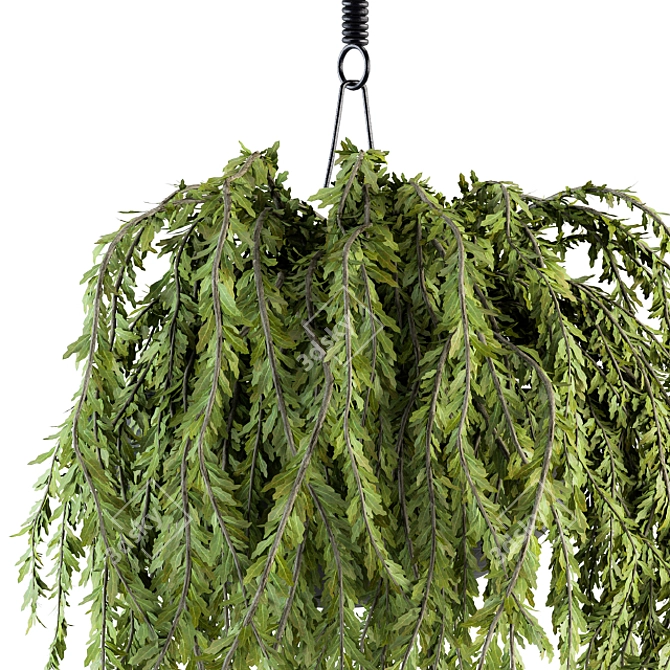 Indoor Hanging Pot Set 170 - Beautiful and Convenient 3D model image 3