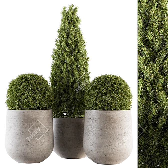 Stylish Outdoor Plants - Set 143 3D model image 1