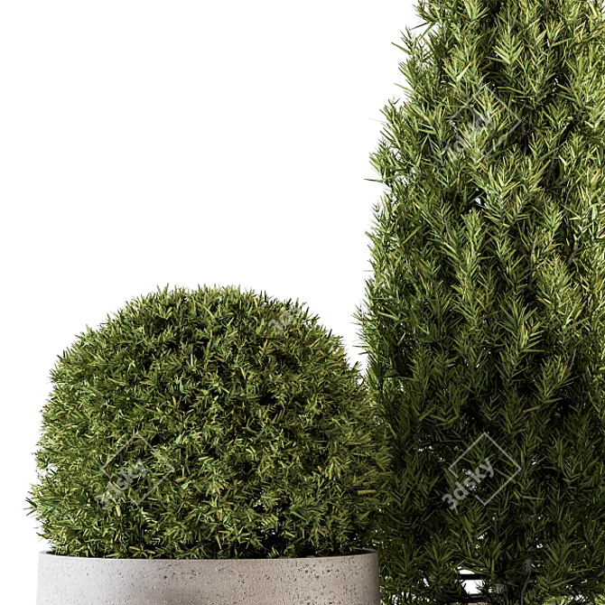 Stylish Outdoor Plants - Set 143 3D model image 3