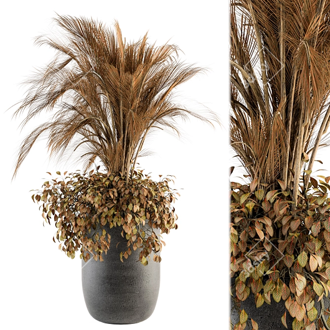 Exotic Indoor Plant Set 162 3D model image 1