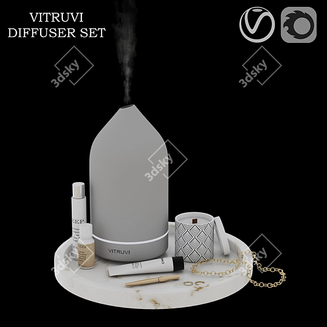 Elegant Vitruvi Diffuser Set 3D model image 1