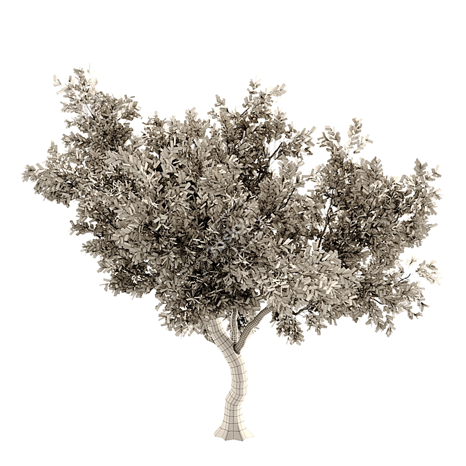 Giant Tree 3D Model: High-quality, Versatile Design 3D model image 4