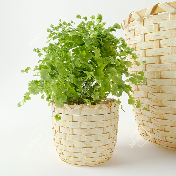 Stylish KAFFEBÖNA Plant Pot Set 3D model image 3