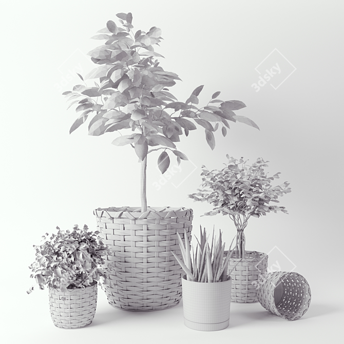 Stylish KAFFEBÖNA Plant Pot Set 3D model image 4