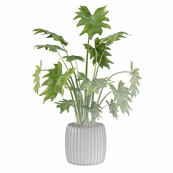 Stunning Philodendron Xanadu 1: 3D Model & Textures 3D model image 2