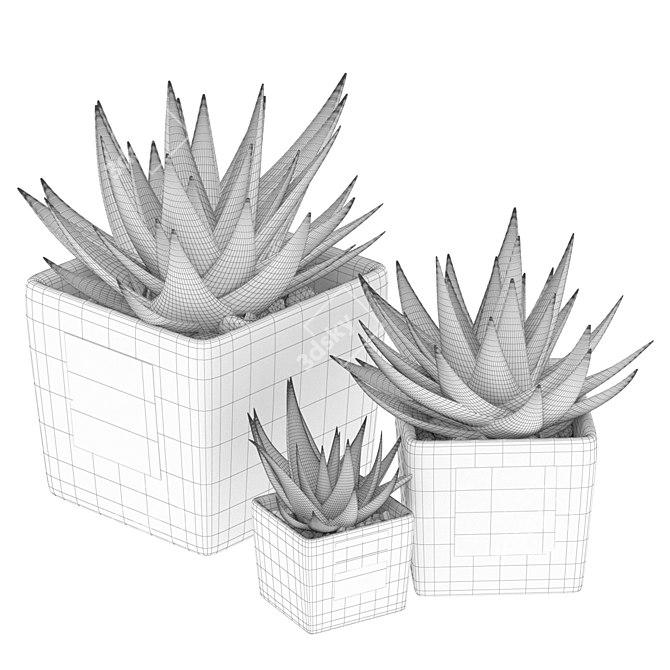 Botanical Bliss: Vol. 89 Plant Collection 3D model image 3