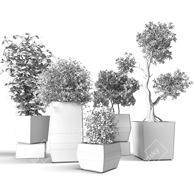 Indoor Plant Collection: Stylish and Versatile 3D model image 4