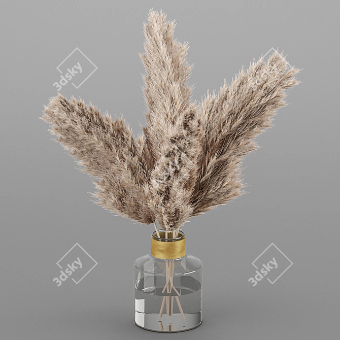 Natural Dry Plant Decoration 3D model image 1