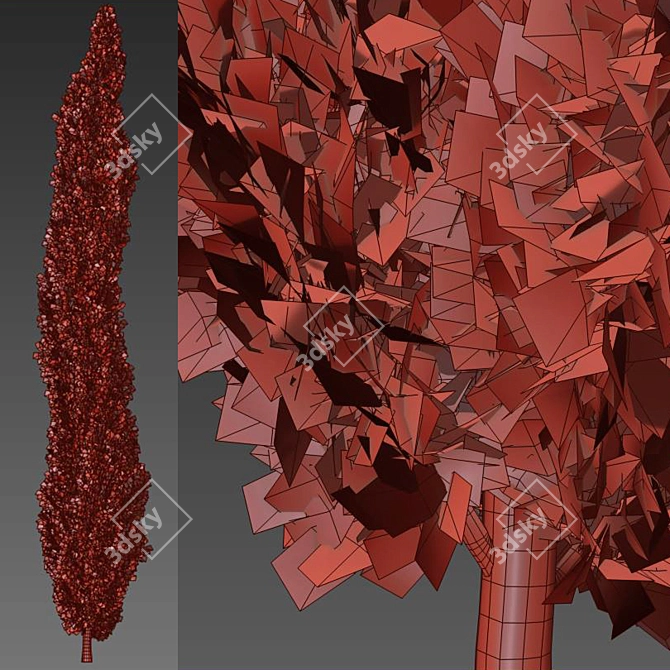 Mediterranean Cypress: 3 Height Options 3D model image 5