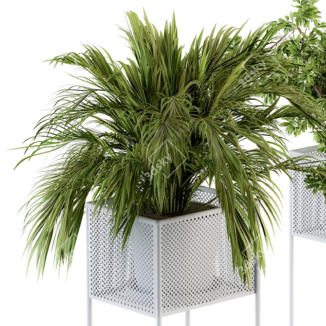 Exquisite Indoor Plant Set 3D model image 4