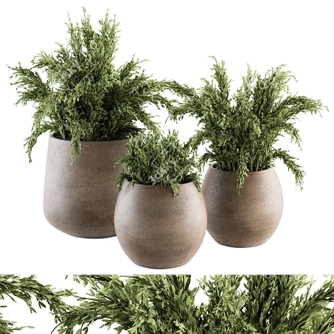 180 Indoor Plant Set: Pot & Greenery! 3D model image 1