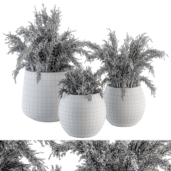 180 Indoor Plant Set: Pot & Greenery! 3D model image 5