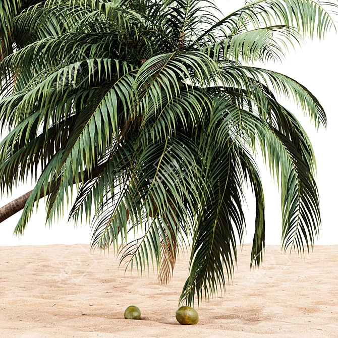 Tropical Paradise: 4 Coconut Palms 3D model image 3