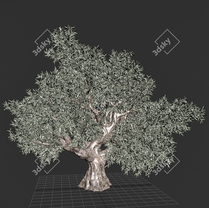  Elegant Olive Tree Sculpture 3D model image 5