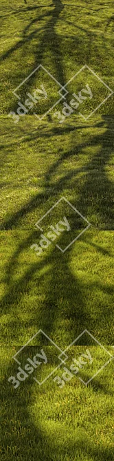 Title: Lush Grassland 3D Landscape 3D model image 6