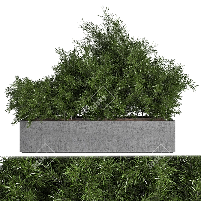 Concrete Box Outdoor Tree - Versatile Interior/Exterior Accent 3D model image 1