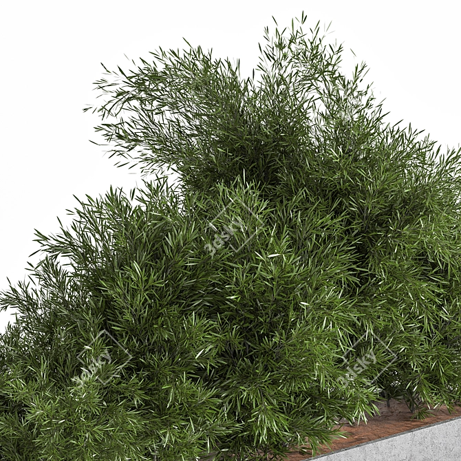 Concrete Box Outdoor Tree - Versatile Interior/Exterior Accent 3D model image 2