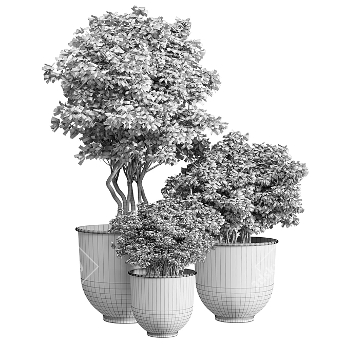 Stunning Outdoor Plant: 08 3D model image 4