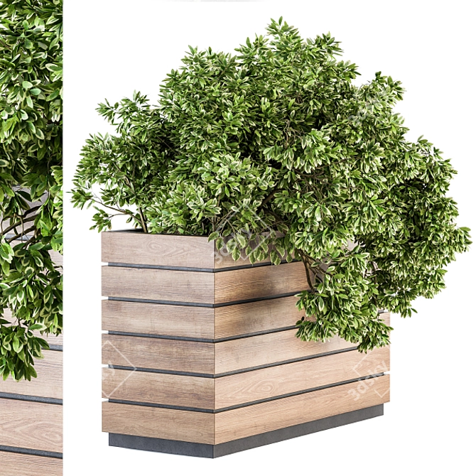 Rustic Wood Box With Outdoor Trees 3D model image 2