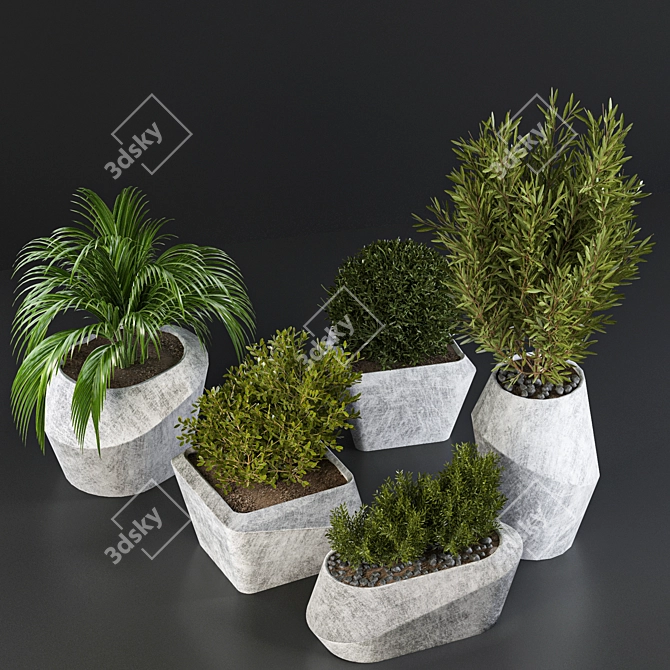 Outdoor Plant Collection 3D model image 2