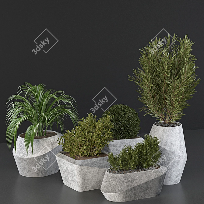Outdoor Plant Collection 3D model image 3