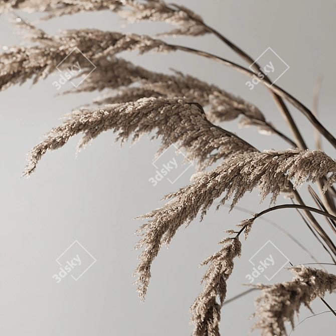 Elegant Ceramic and Phragmites Decor Set 3D model image 2