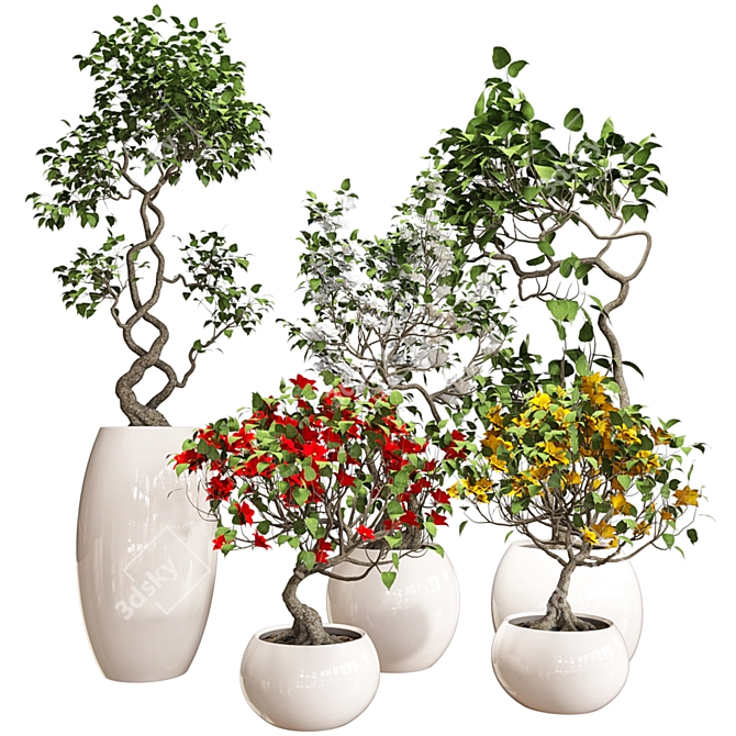 Colorful Bonsai Set for Stylish Interiors 3D model image 3