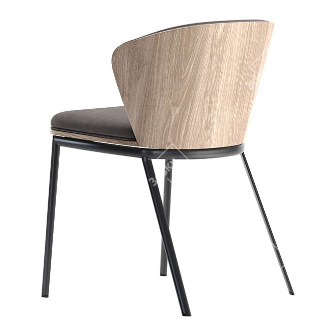 Segis Billa Designer Chair 3D model image 4