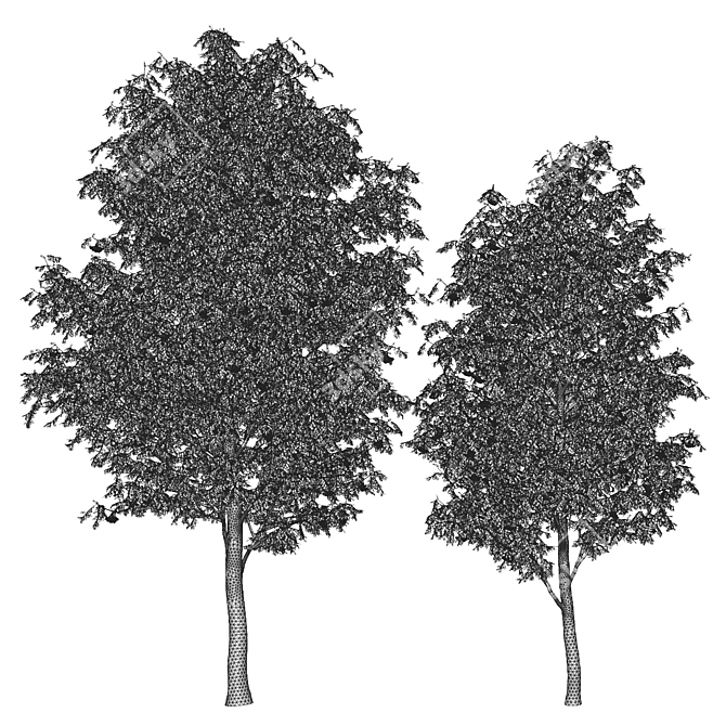 Sorbus 4.5m & 3.8m: 900 Polys 3D model image 3