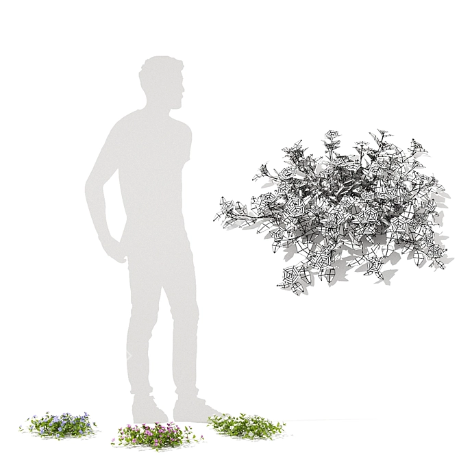 Compact Periwinkle Bushes | Vinca Minor 3D model image 5