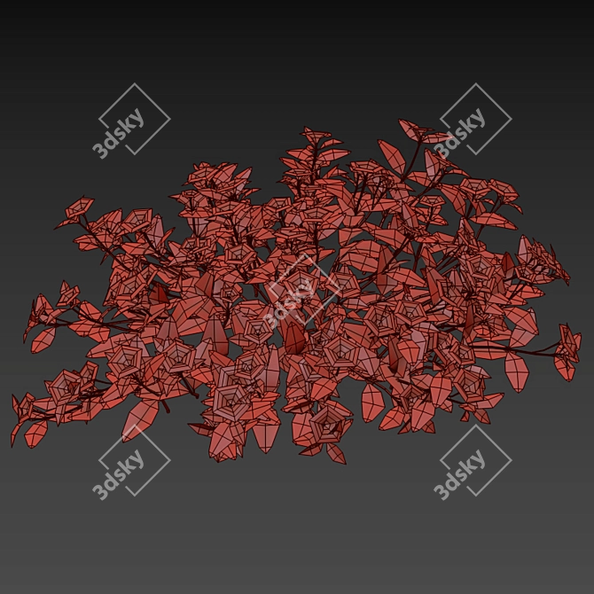 Compact Periwinkle Bushes | Vinca Minor 3D model image 8