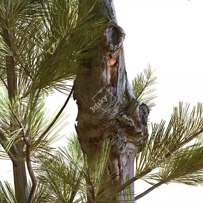 Sculpted Tree 2015 3D model image 2